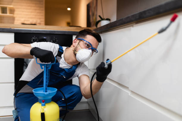 Best Emergency Pest Control  in Detroit Lakes, MN