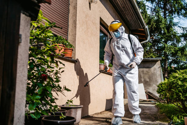 Best Exterminator Services  in Detroit Lakes, MN