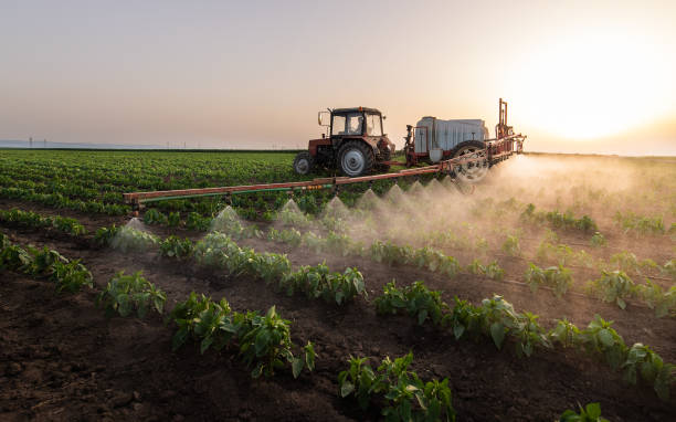  Detroit Lakes, MN Pest Control Pros