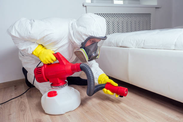Professional Pest Control in Detroit Lakes, MN