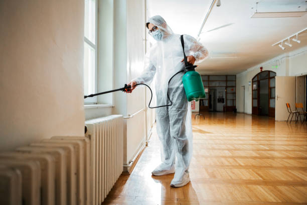 Best Pest Prevention Services  in Detroit Lakes, MN